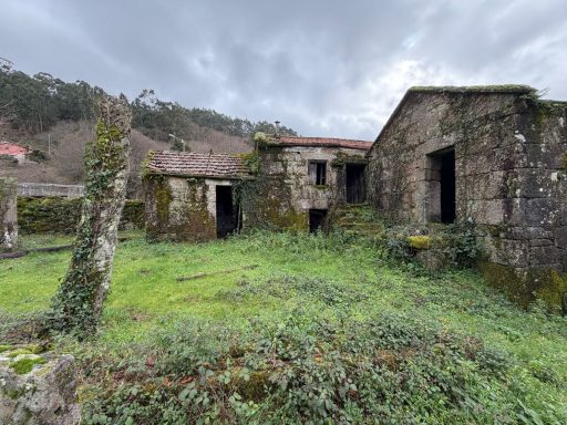 Ruinas de una construcción de piedra cubierta de vegetación en un paisaje natural.